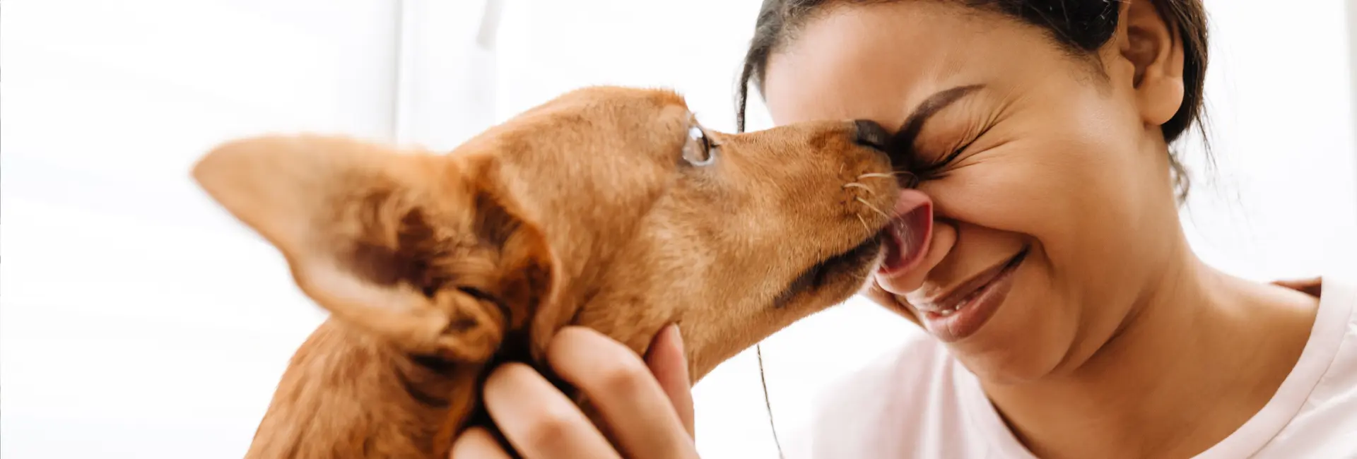 Smiling woman with her dog in pet-friendly Toronto apartment