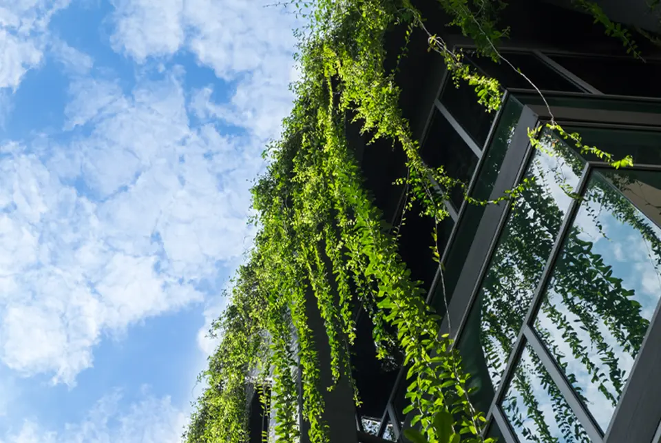 Sustainable building with green vines and eco-friendly design at Atria development