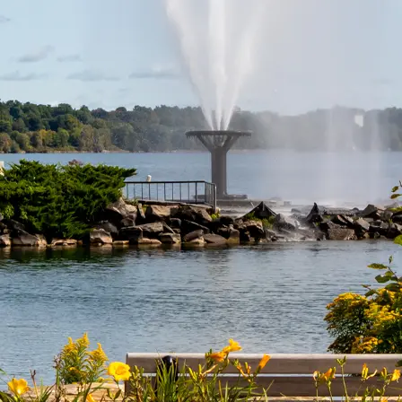 Barrie